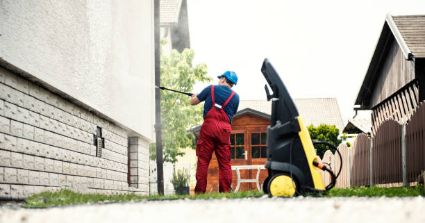 Animal Enclosure Cleaning in St Jaco, IL